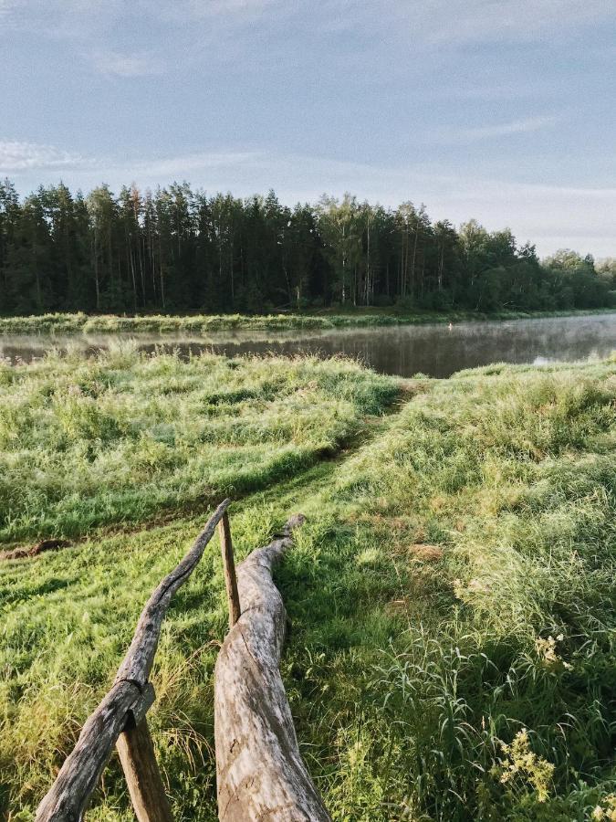 "Gaujmale" Sauna House In Nature Ilkene Luaran gambar
