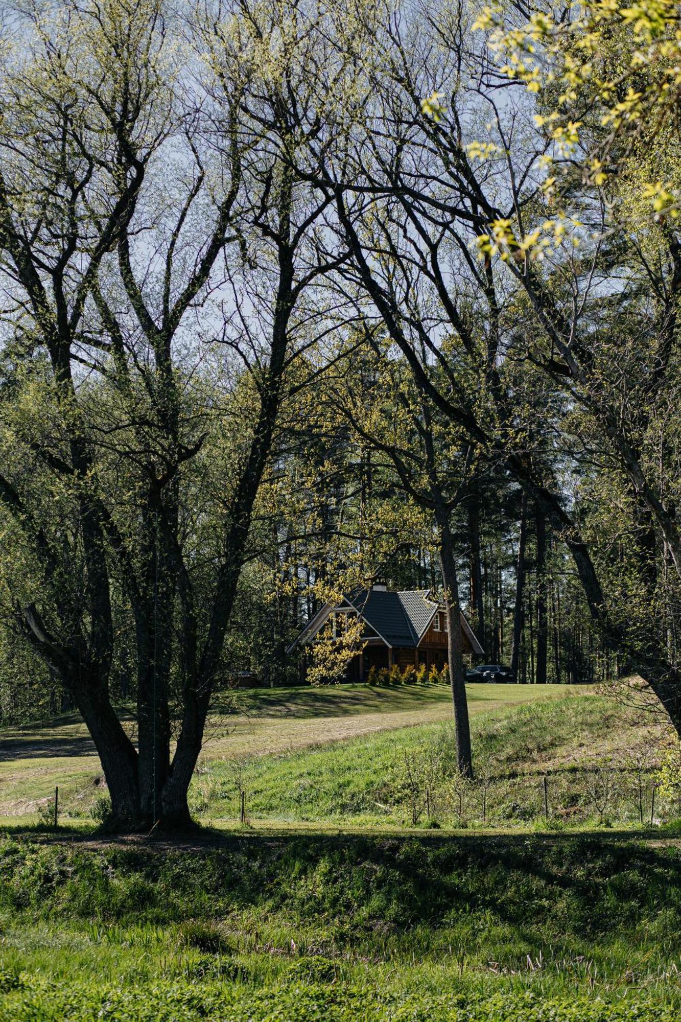 "Gaujmale" Sauna House In Nature Ilkene Luaran gambar